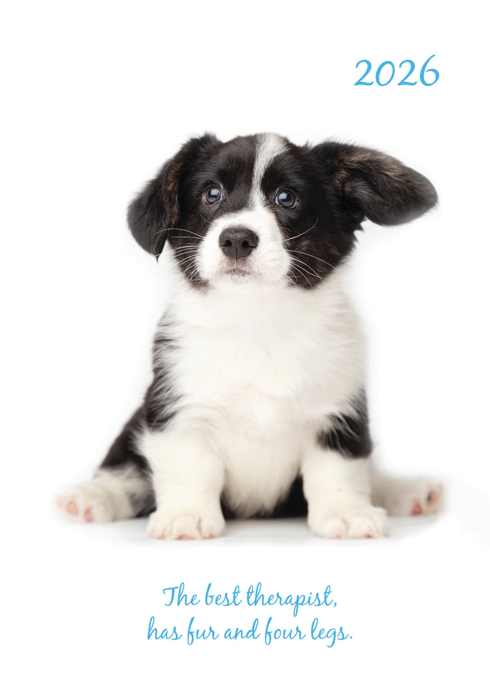 Adorable Dogs A5 Padded 2026 Diary