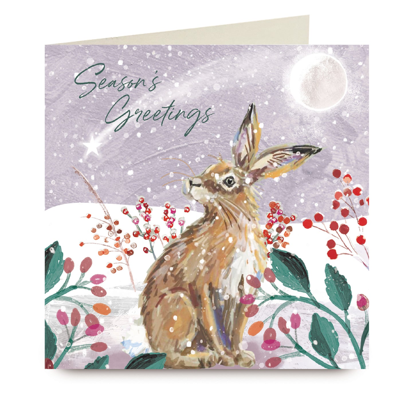 Christmas Cards Pack of 10 - Sitting Hare