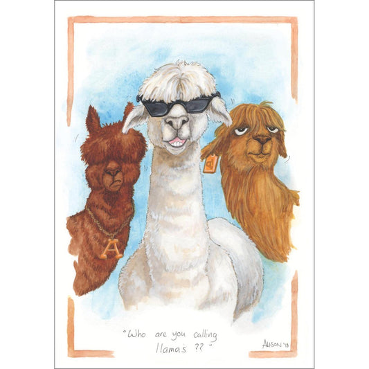 Who are you calling Llamas? - Greeting Card