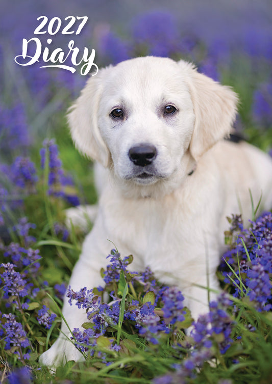 Cute Puppies A5 Padded 2027 Diary