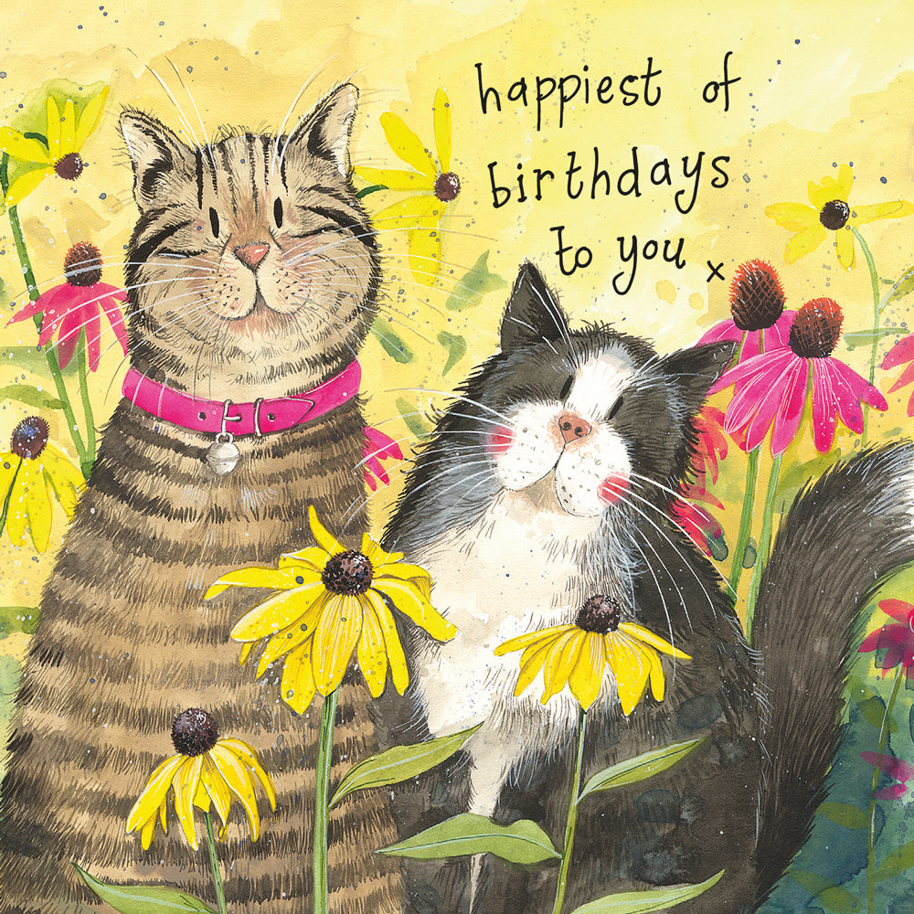 Flower border cat birthday card - by Alex Clark