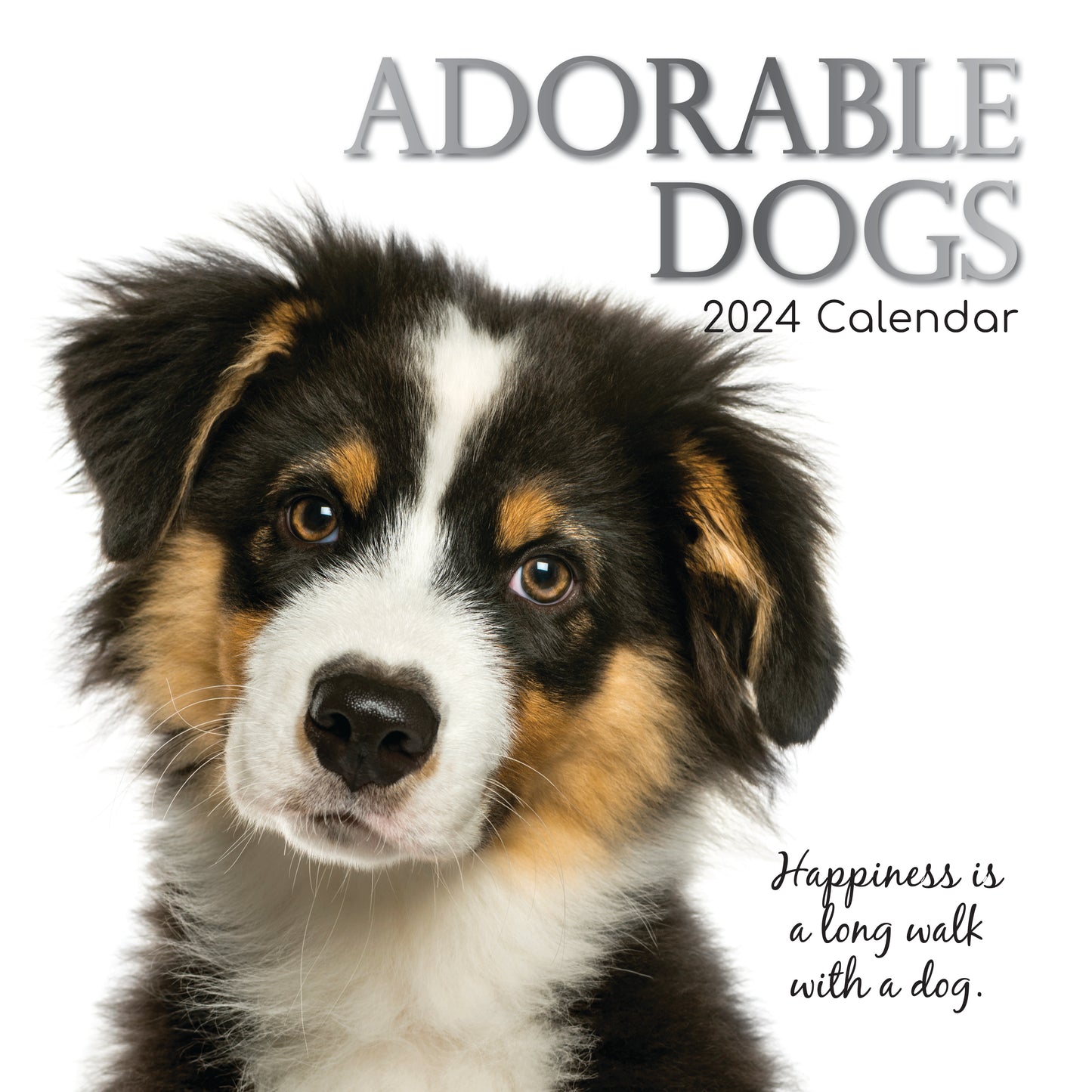 Adorable Dogs Square 2024 Calendar