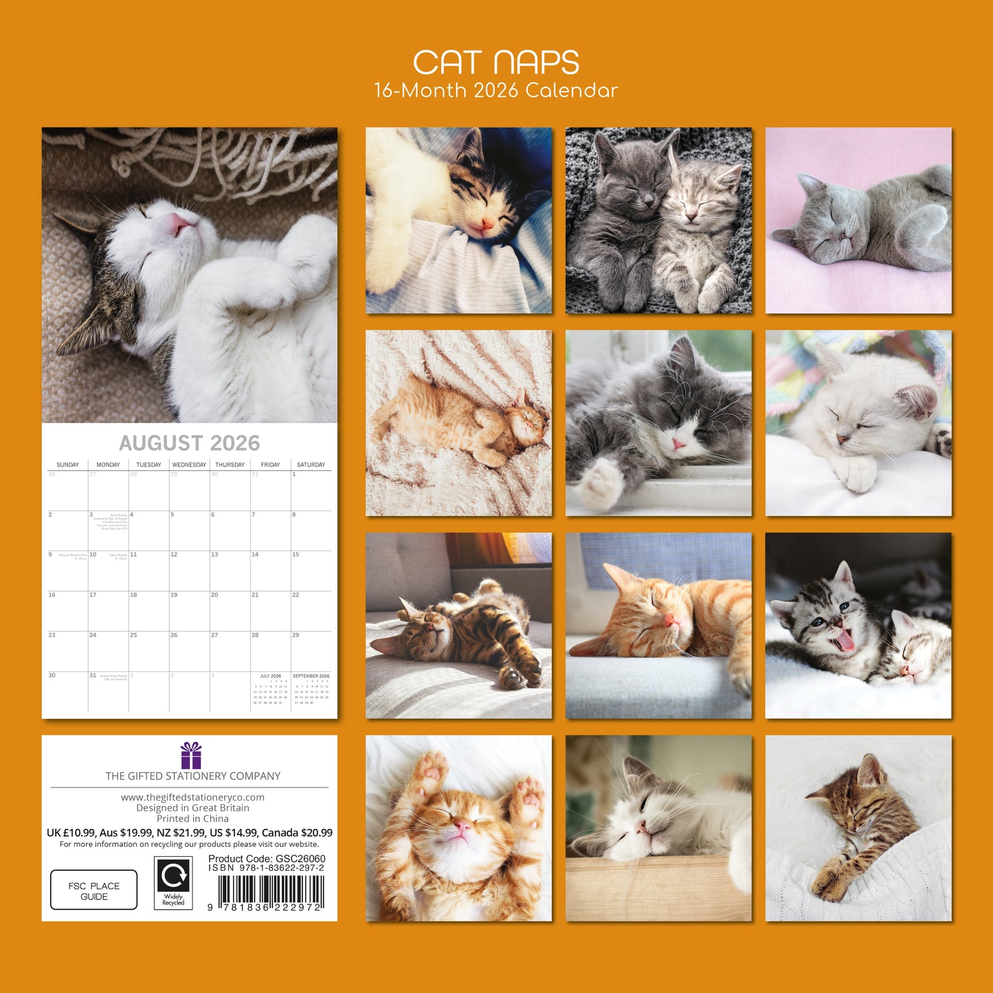 Cat Naps 2026 Calendar