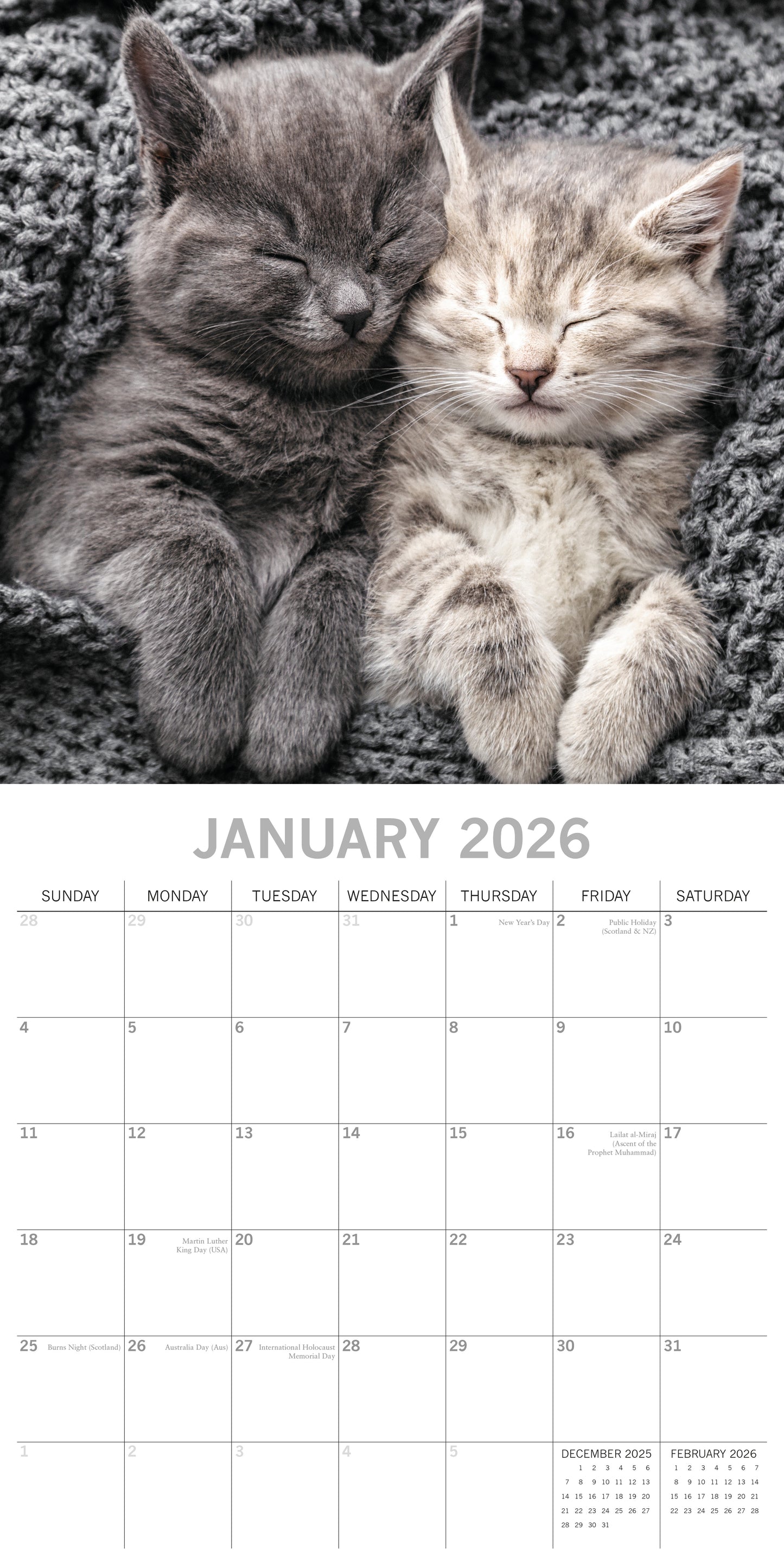Cat Naps 2026 Calendar