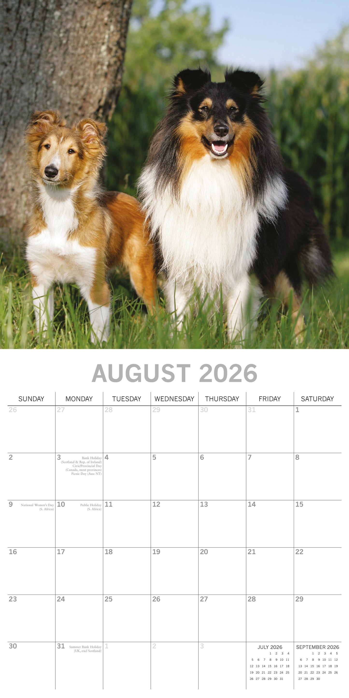 Dogs And Puppies 2026 Calendar