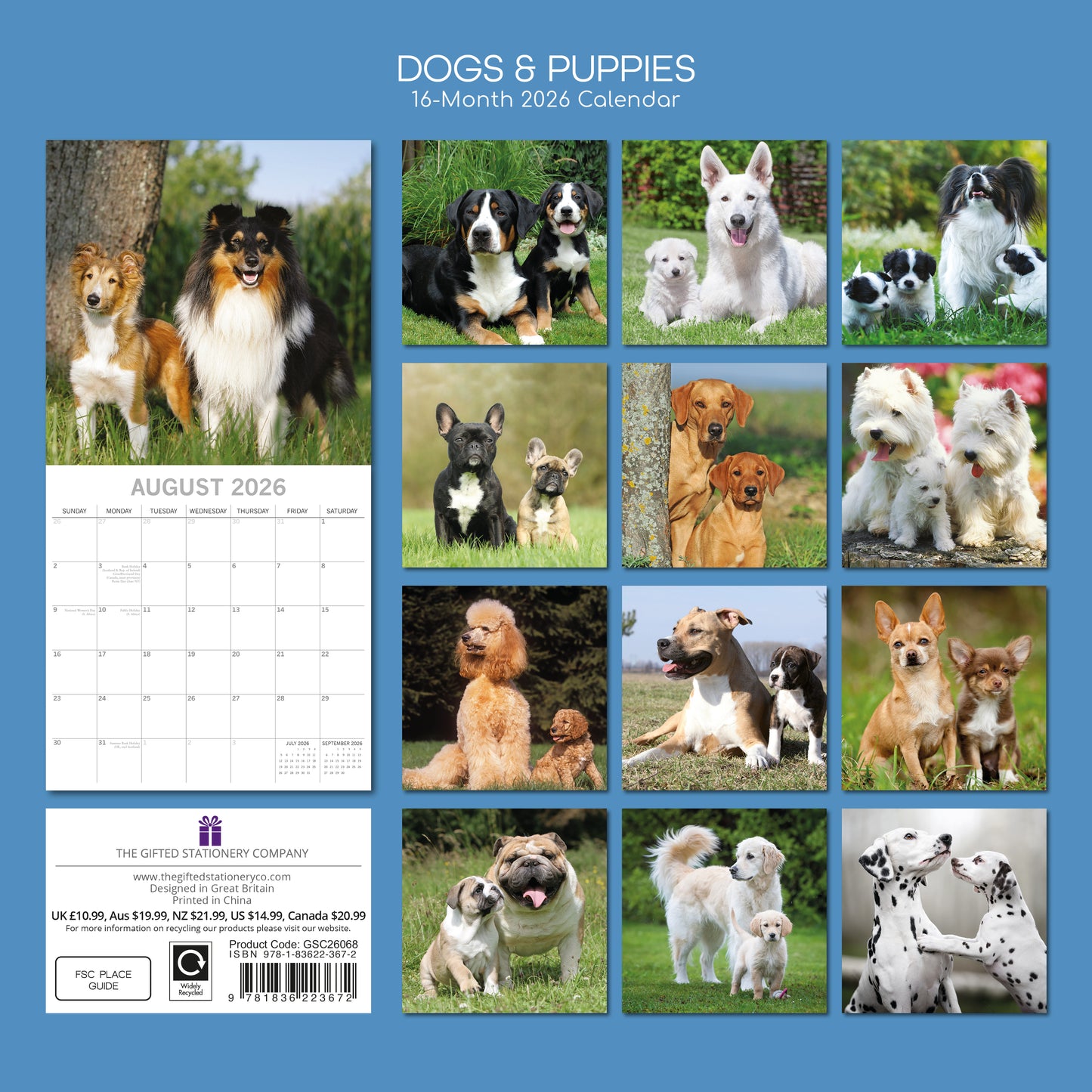 Dogs And Puppies 2026 Calendar