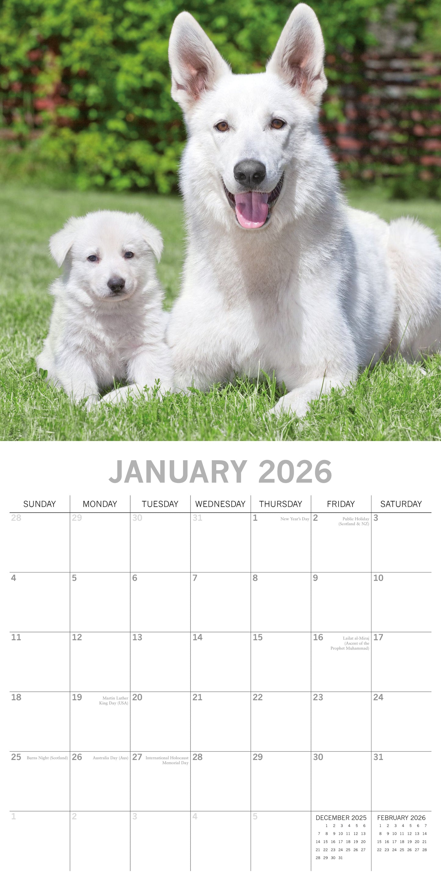 Dogs And Puppies 2026 Calendar