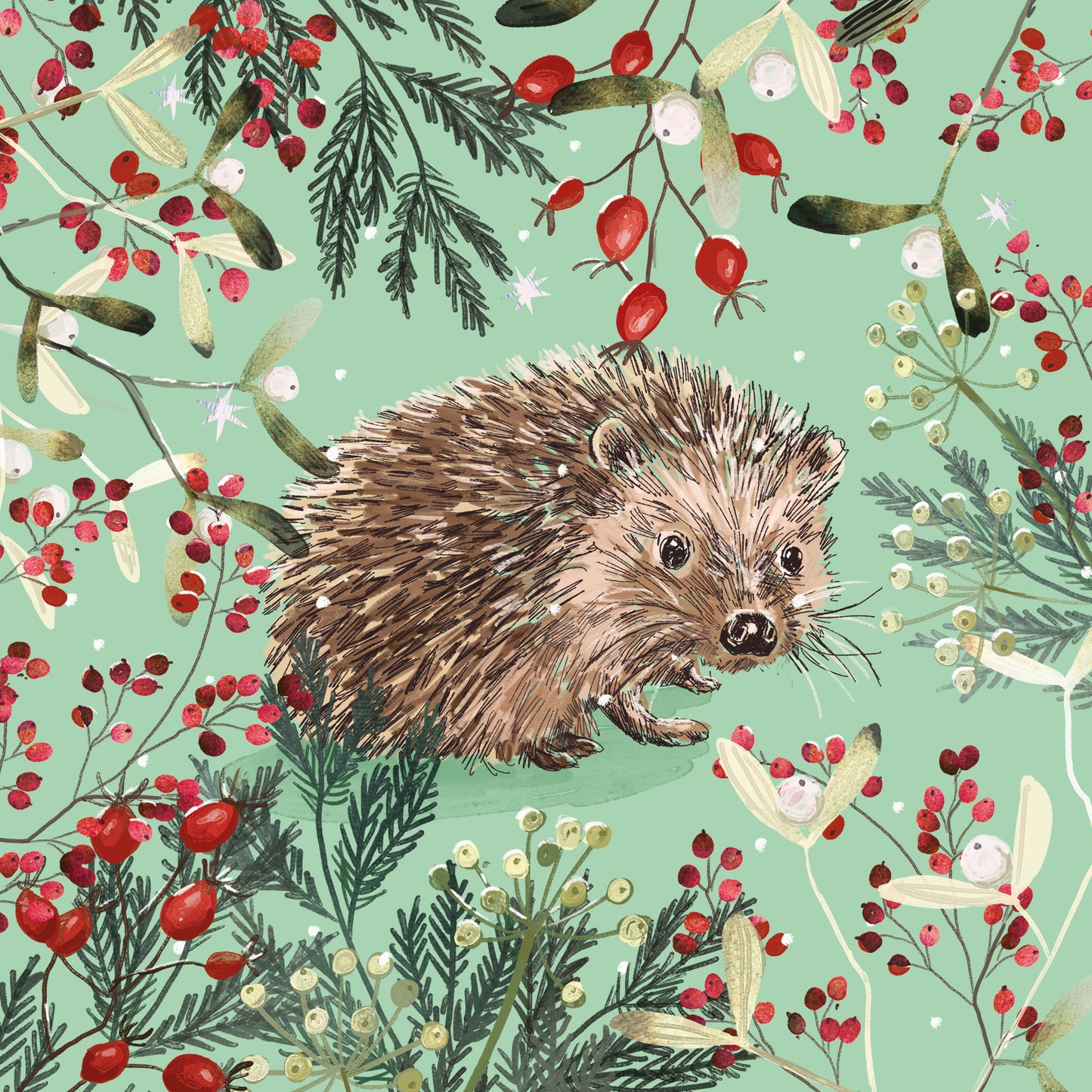 Christmas Cards Pack of 10 - Berry Merry Hedgehog