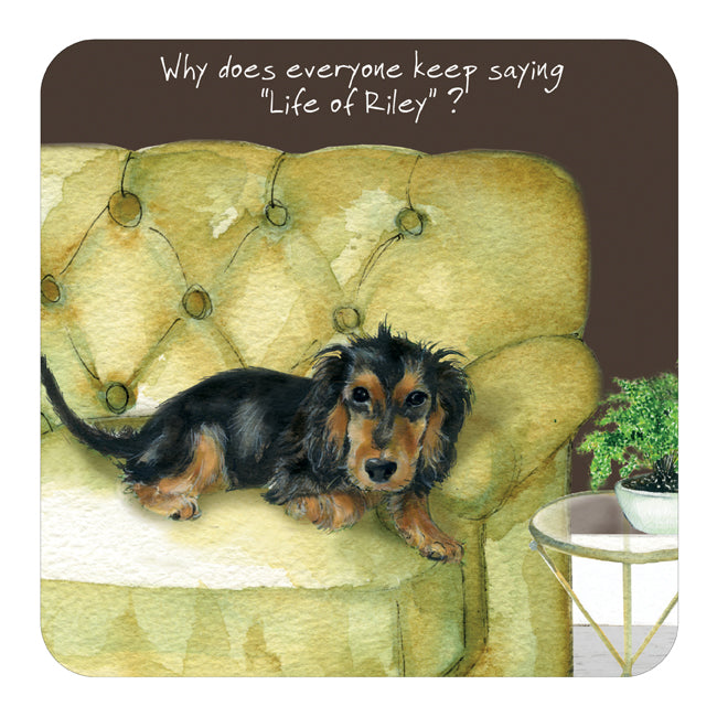 Cocker Spaniel Puppy 'Life of Riley' Coaster - by Little Dog Laughed