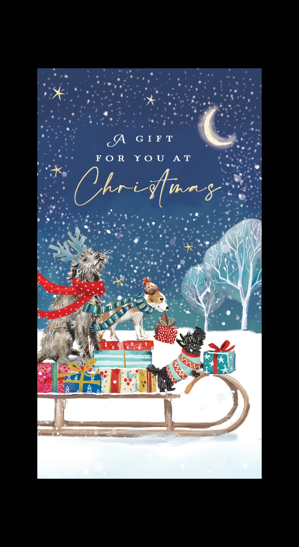 Christmas Sleigh Dogs Money Wallet