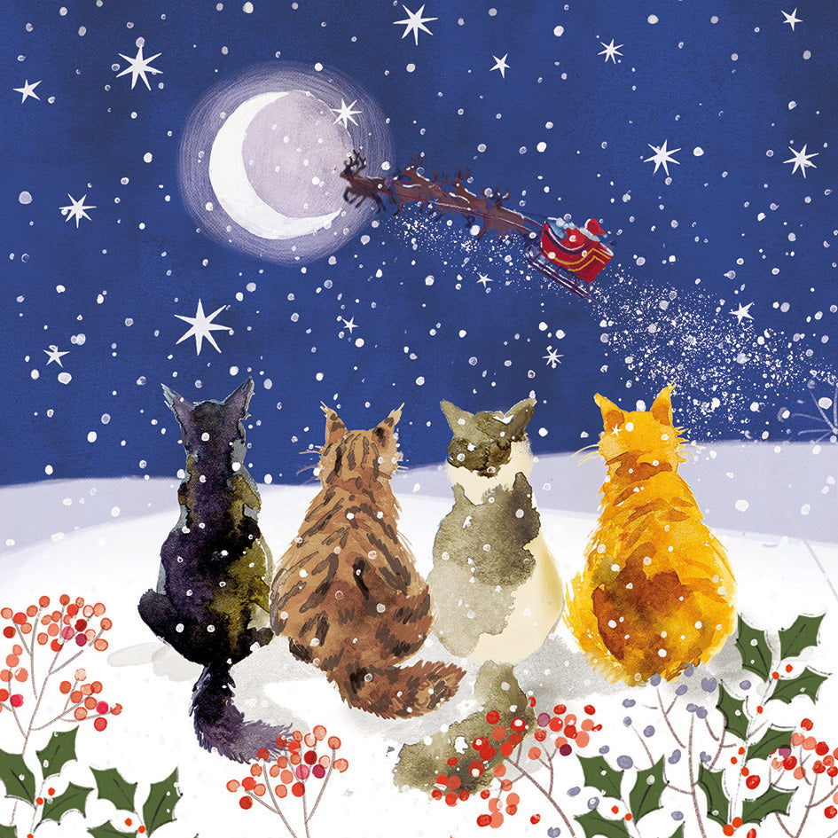 Christmas Cards Pack of 10 - Christmas Star Gazing