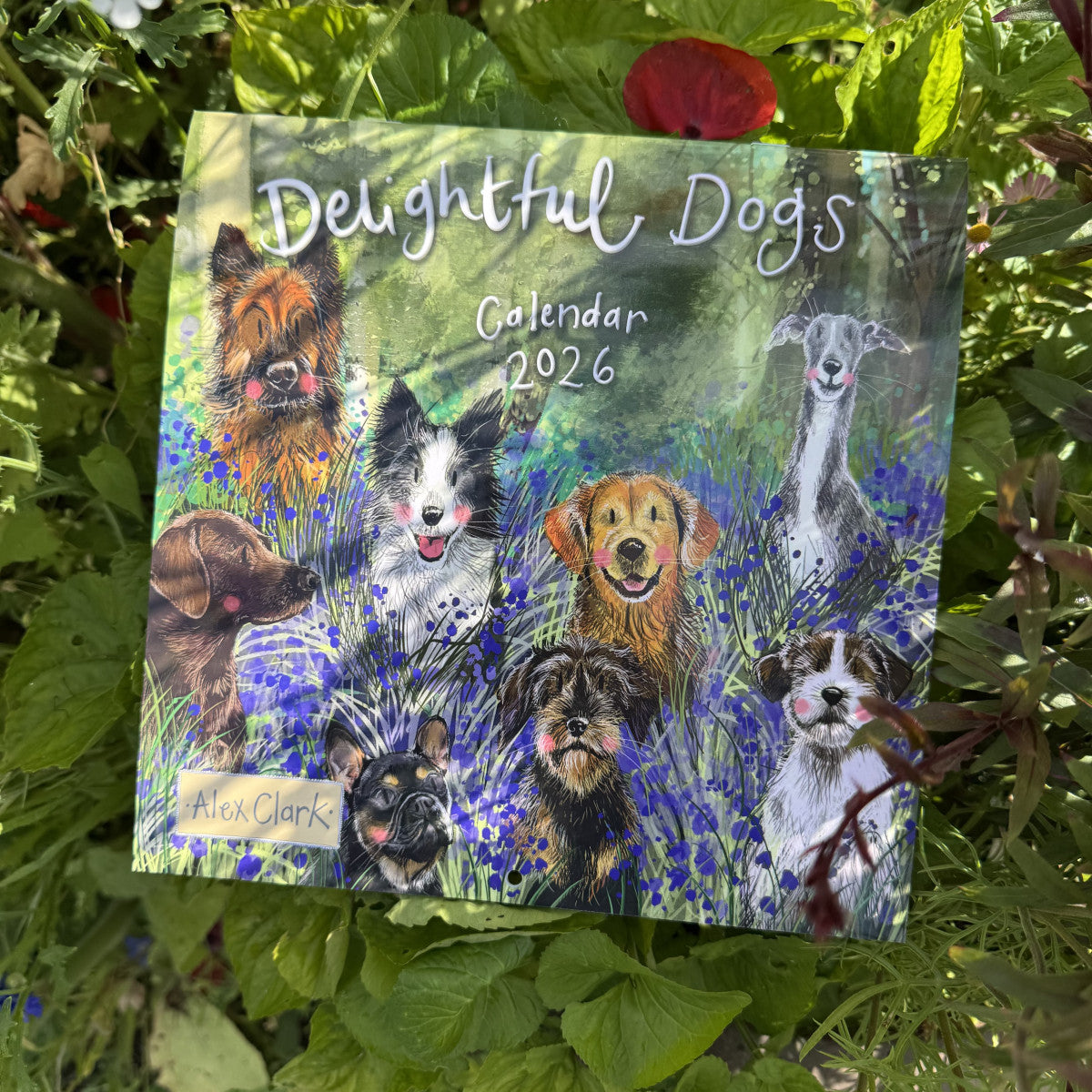 Delightful Dogs 2026 Calendar - by Alex Clark