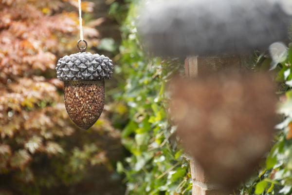 Acorn Bird Feeder