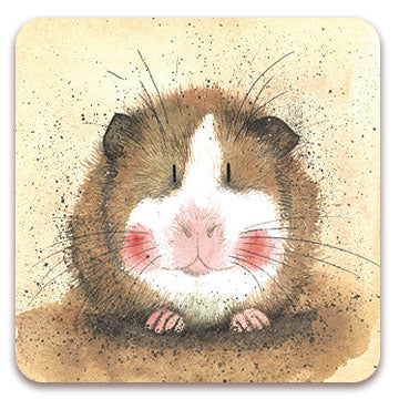 Gilbert Guinea Pig Coaster - Alex Clark