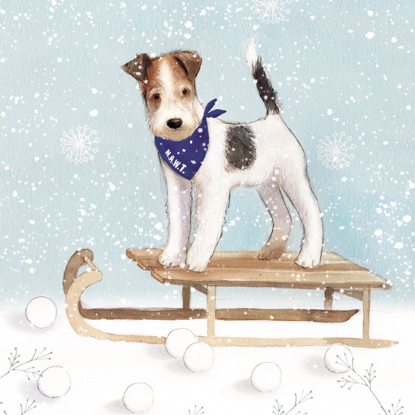Christmas Cards Pack of 10 - NAWT Dog