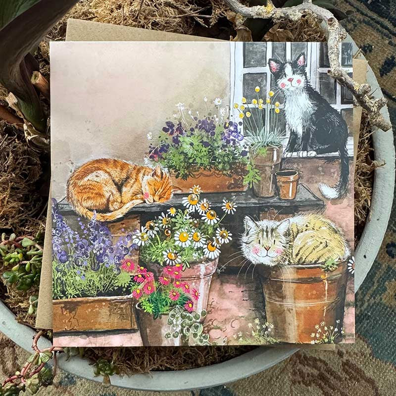 Amongst The Pots Greeting Card - by Alex Clark