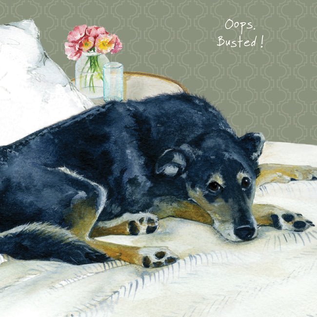 Rescue Dog 'Oops Busted!' Greeting Card - by Little Dog Laughed