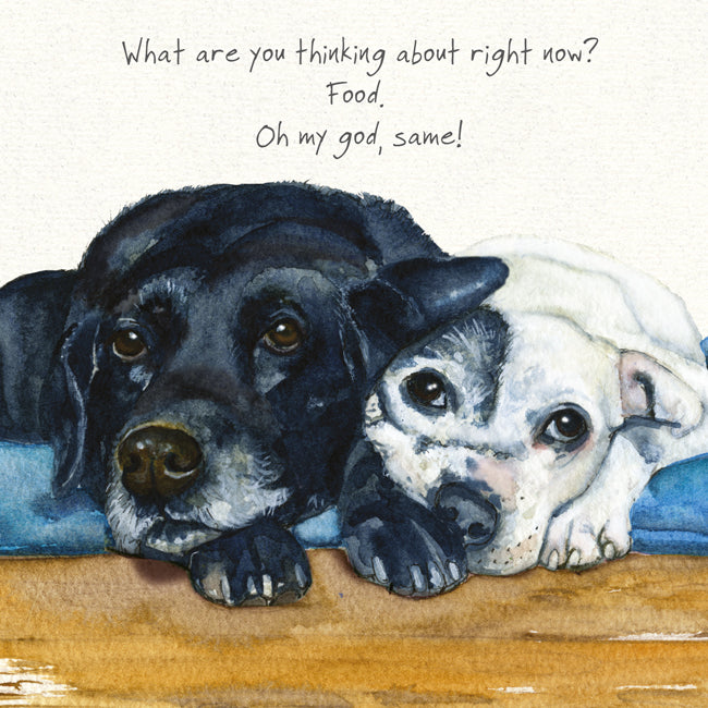Black Labrador and Staffie 'Thinking Food' Greeting Card - by Little Dog Laughed