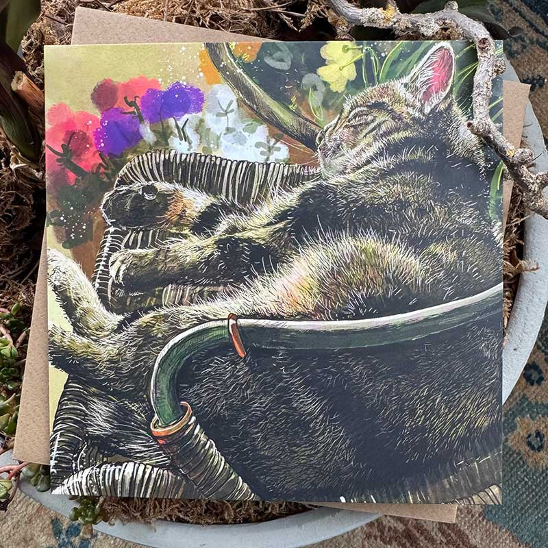 Sound Asleep Cat Greeting Card - by Alex Clark