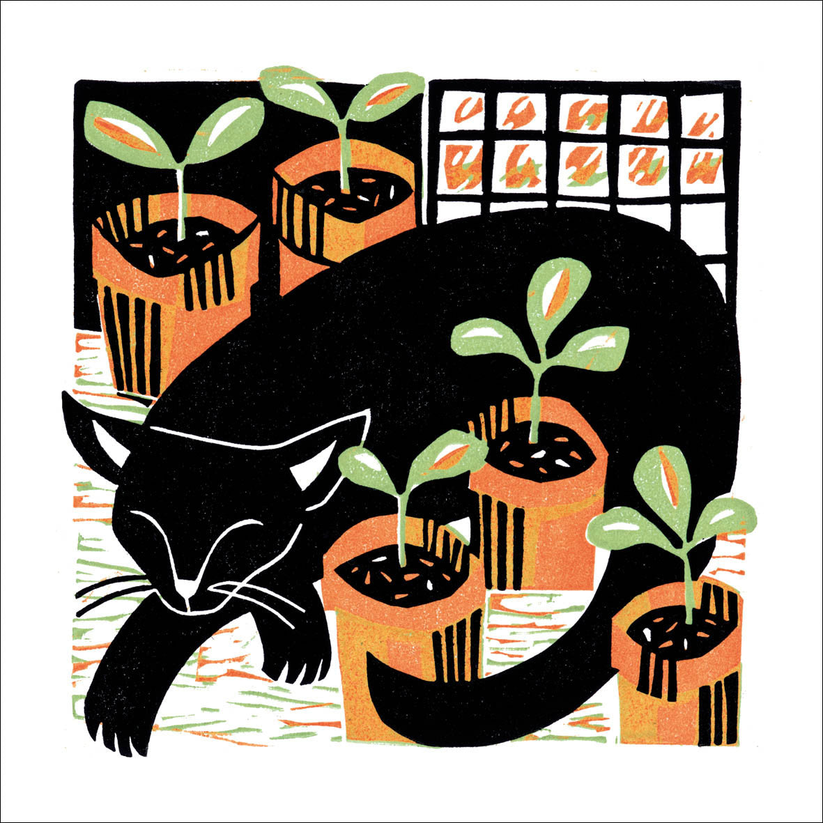 Amongst the Seedlings Greeting Card - by Manda Beeching