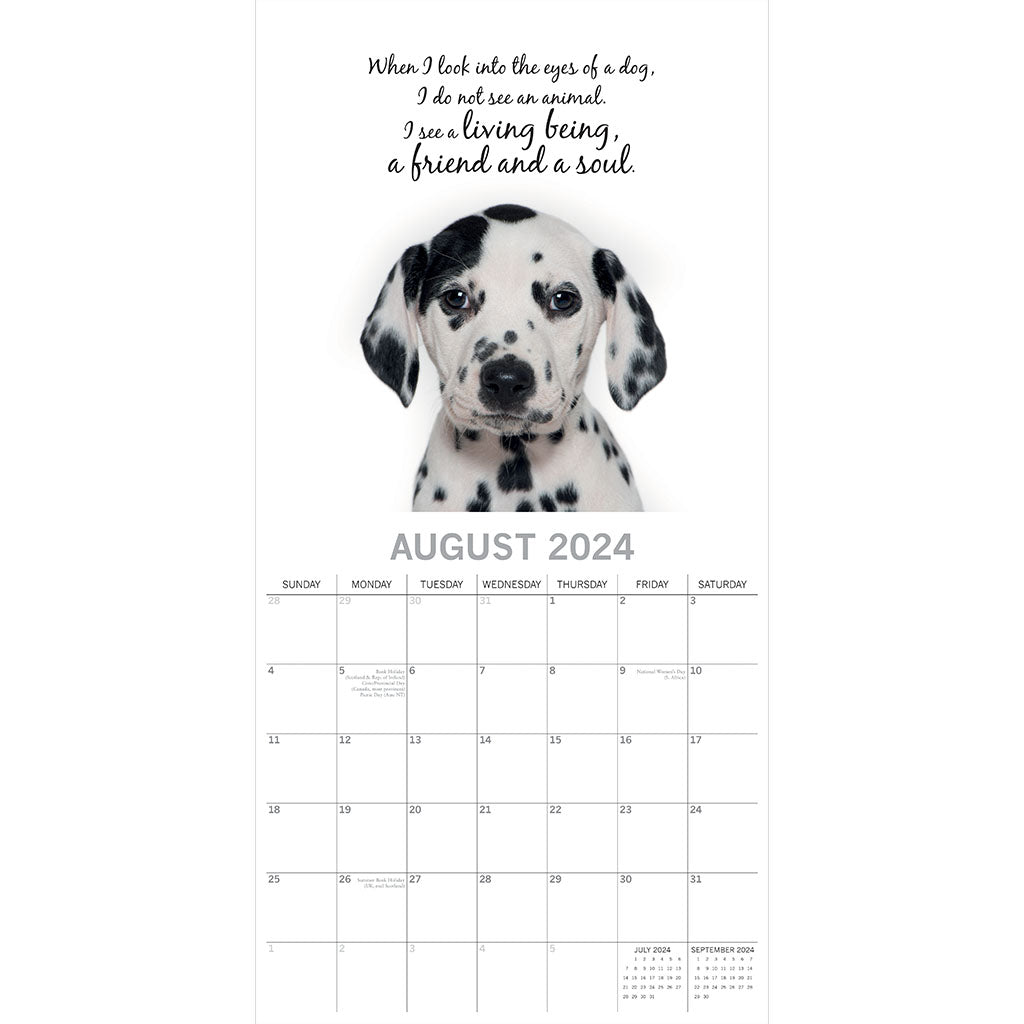 Adorable Dogs Square 2024 Calendar