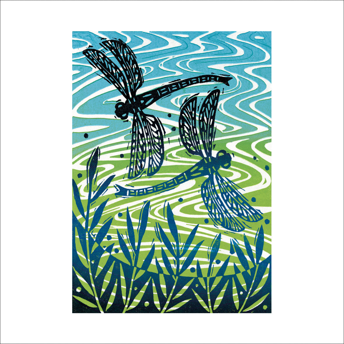 Dragonflies Greeting Card- by Manda Beeching