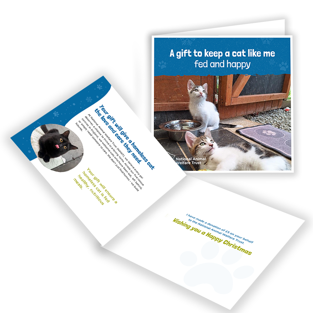 £5 Christmas Gift Donation Card - Keep a Cat Fed and Happy