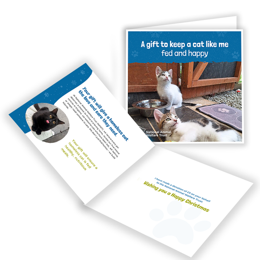 £5 Christmas Gift Donation Card - Keep a Cat Fed and Happy