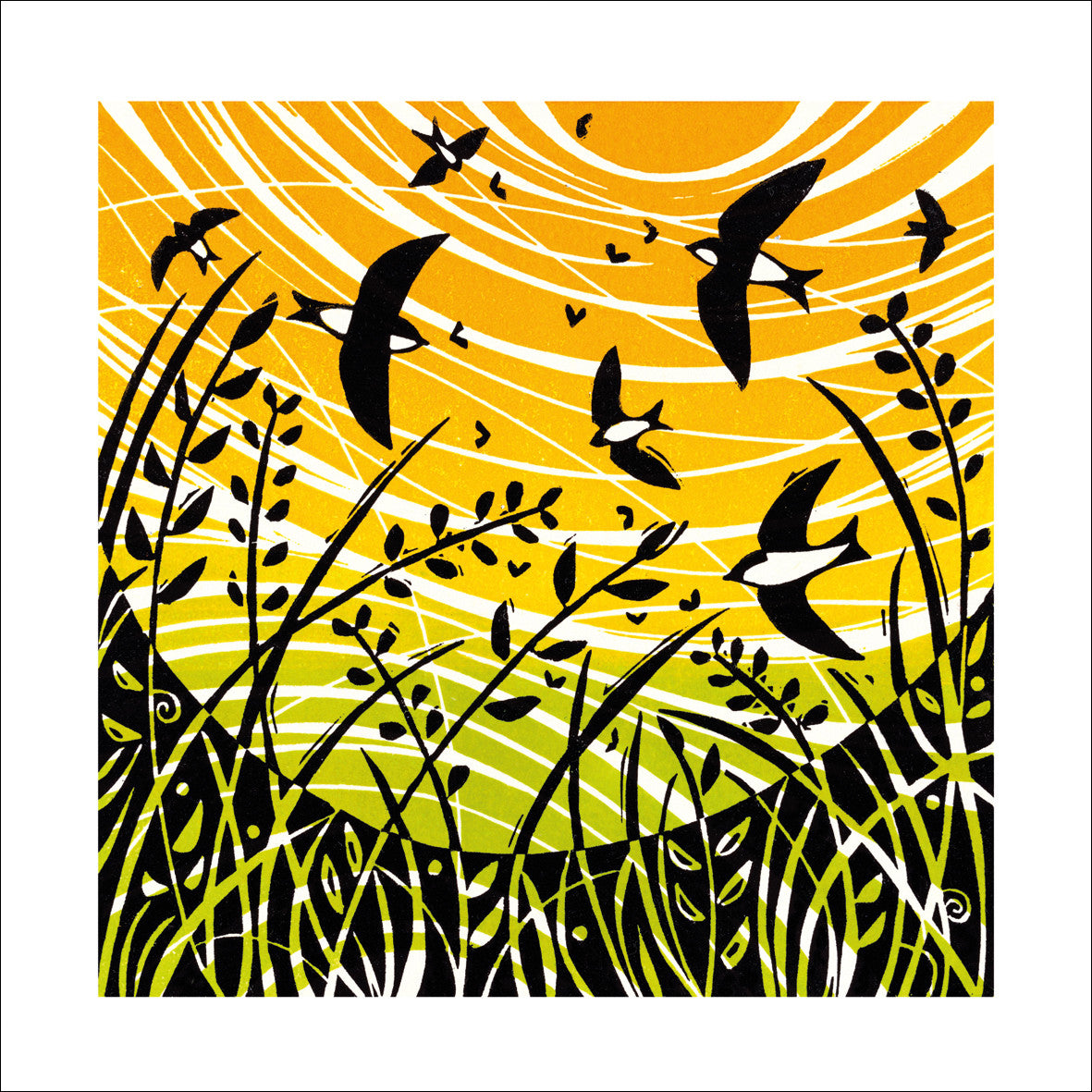 Feeding Frenzy Greeting Card - by Manda Beeching