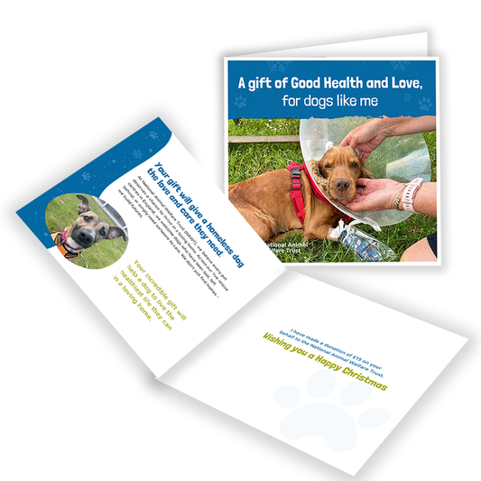 £15 Christmas Gift Donation Card - Keep a Dog Healthy & Loved