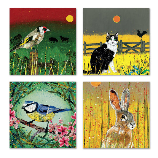 Boxed Cards (pack 8) - Eco Friendly Co.