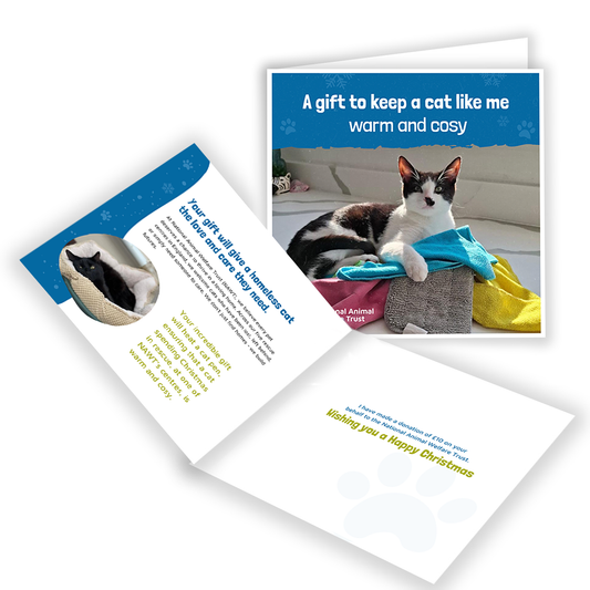 £10 Christmas Gift Donation Card - Keep a Cat Warm and Cosy