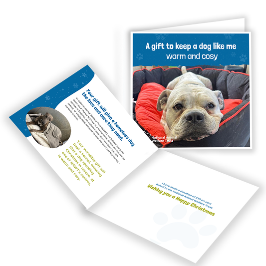£10 Christmas Gift Donation Card - Keep a Dog Warm & Cosy