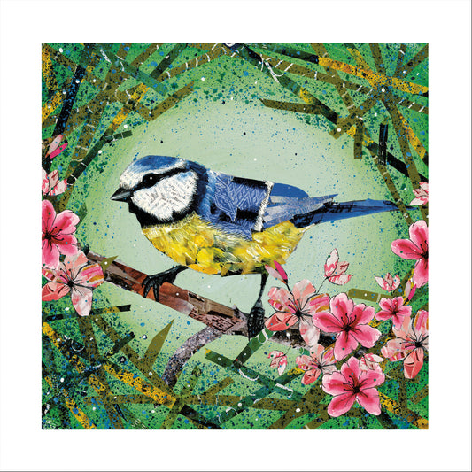 Blue Tit Greeting Card - Eco Friendly Co.