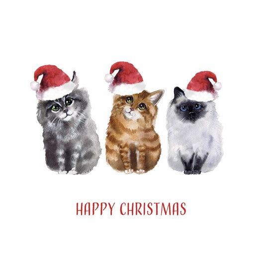 Christmas Cards Pack of 10 - Little Cats