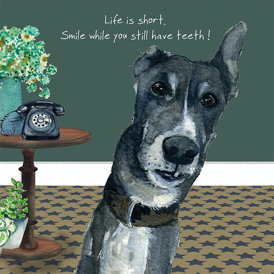 Greyhound 'Smile while you still have teeth!' Greeting Card