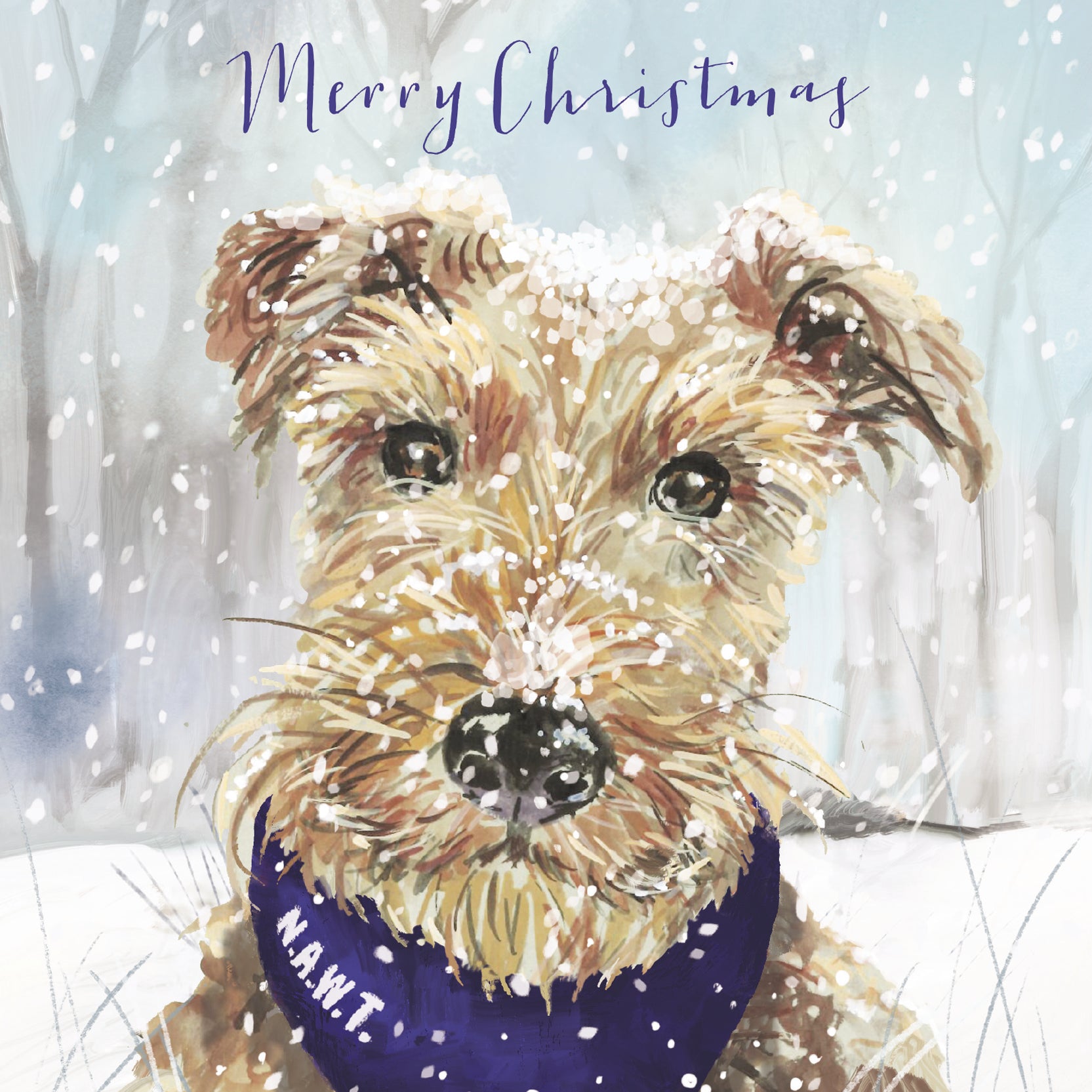 Animal Charity Christmas Cards National Animal Welfare Trust