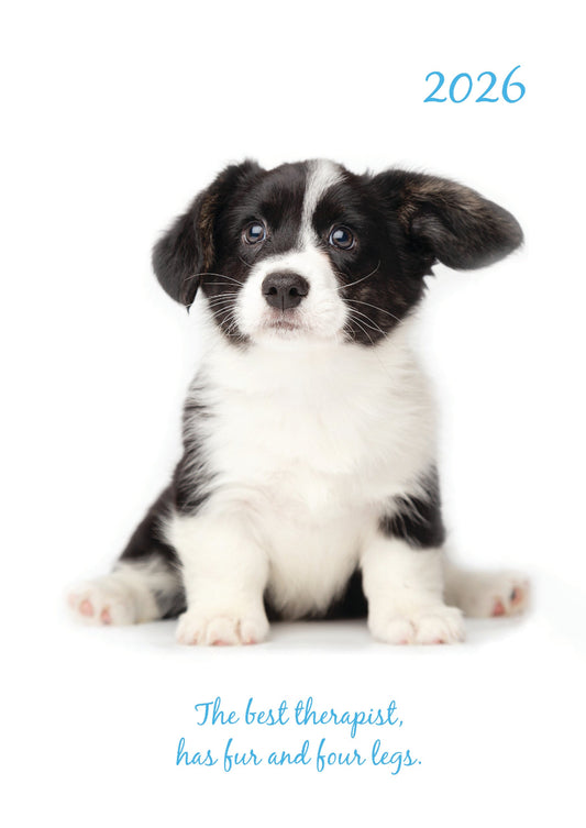 Adorable Dogs A5 Padded 2026 Diary