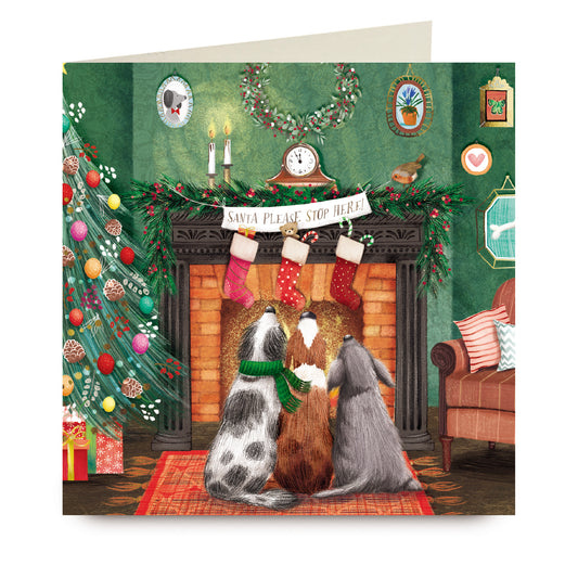Christmas Cards Pack of 10 - Santa Please Stop Here