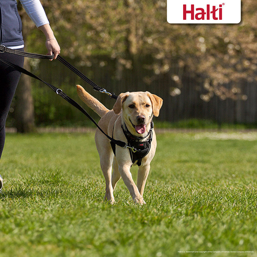 Halti training double ended lead - small