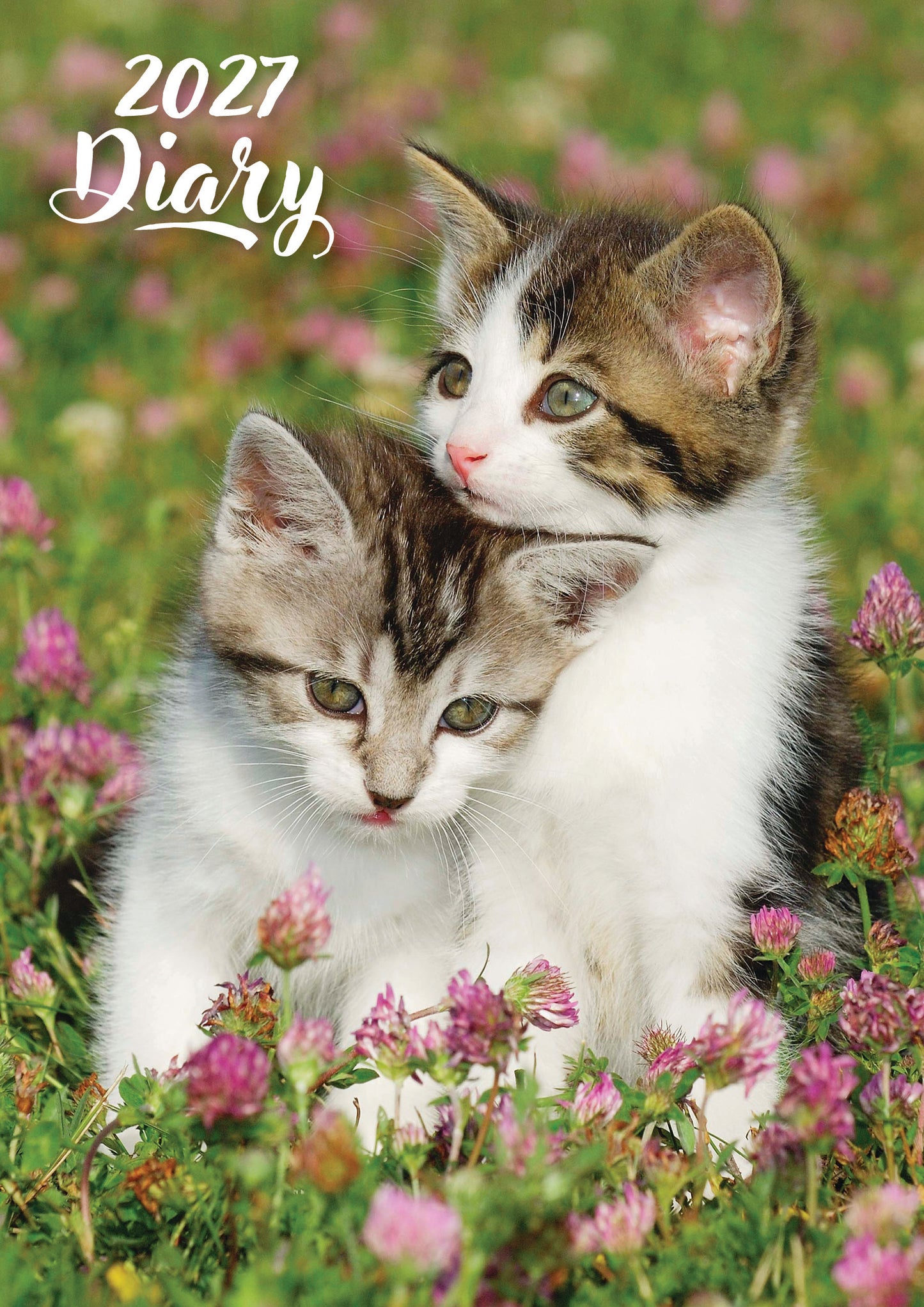 Cute Kittens A5 Padded 2027 Diary