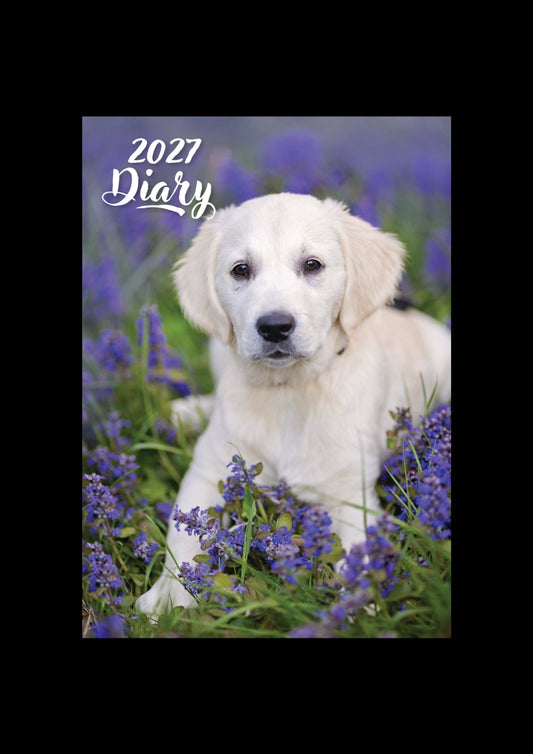 Cute Puppies A5 Padded 2027 Diary