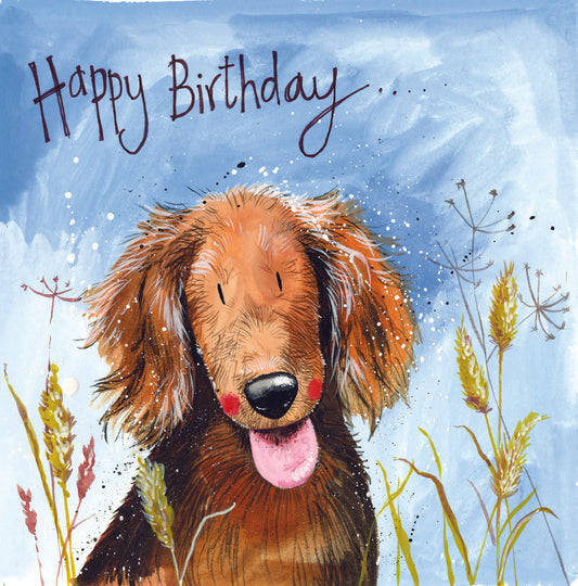 Happy Birthday Bertie Dog Greeting Card - by Alex Clark