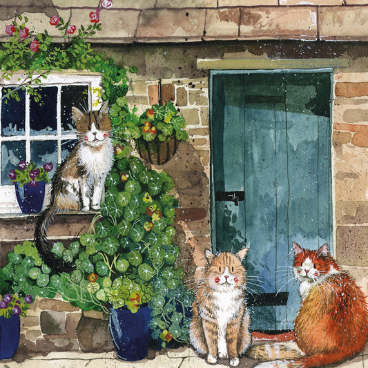 Cottage cats greeting card  - by Alex Clark