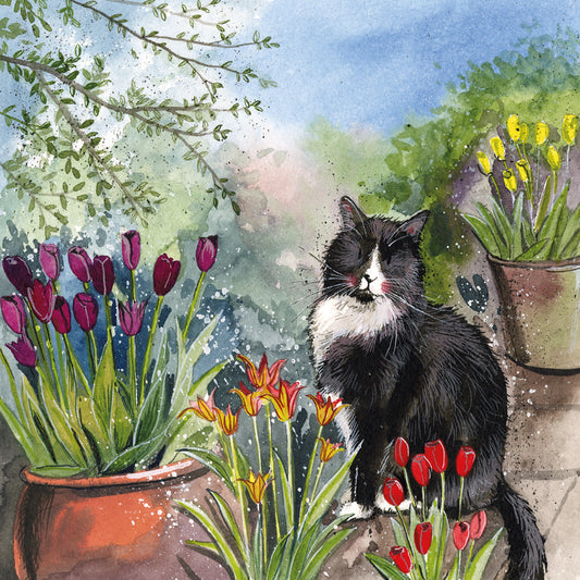Cat and Tulips greeting card  - by Alex Clark