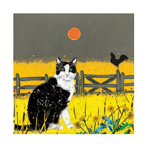 Farm Cat & Dandelions Greeting Card - Adam James Severn