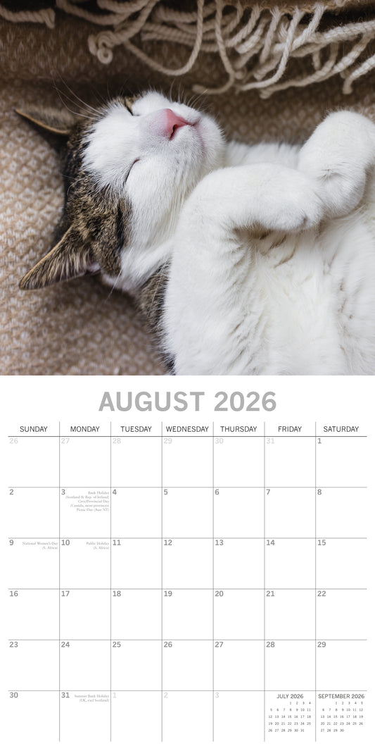 Cat Naps 2026 Calendar