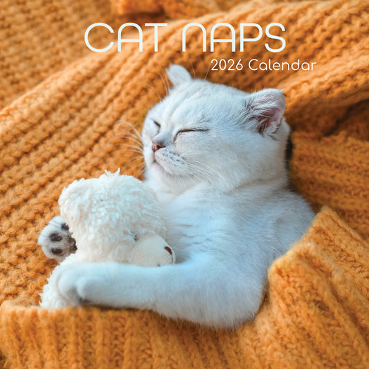 Cat Naps 2026 Calendar