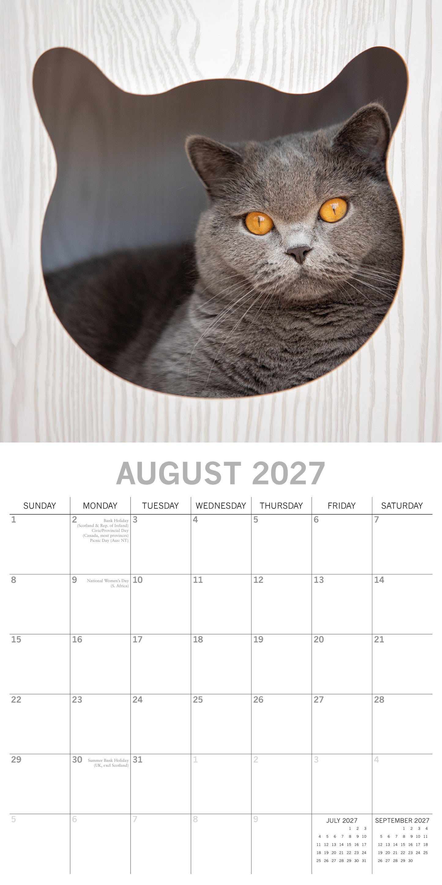 Cats 2027 Square Calendar