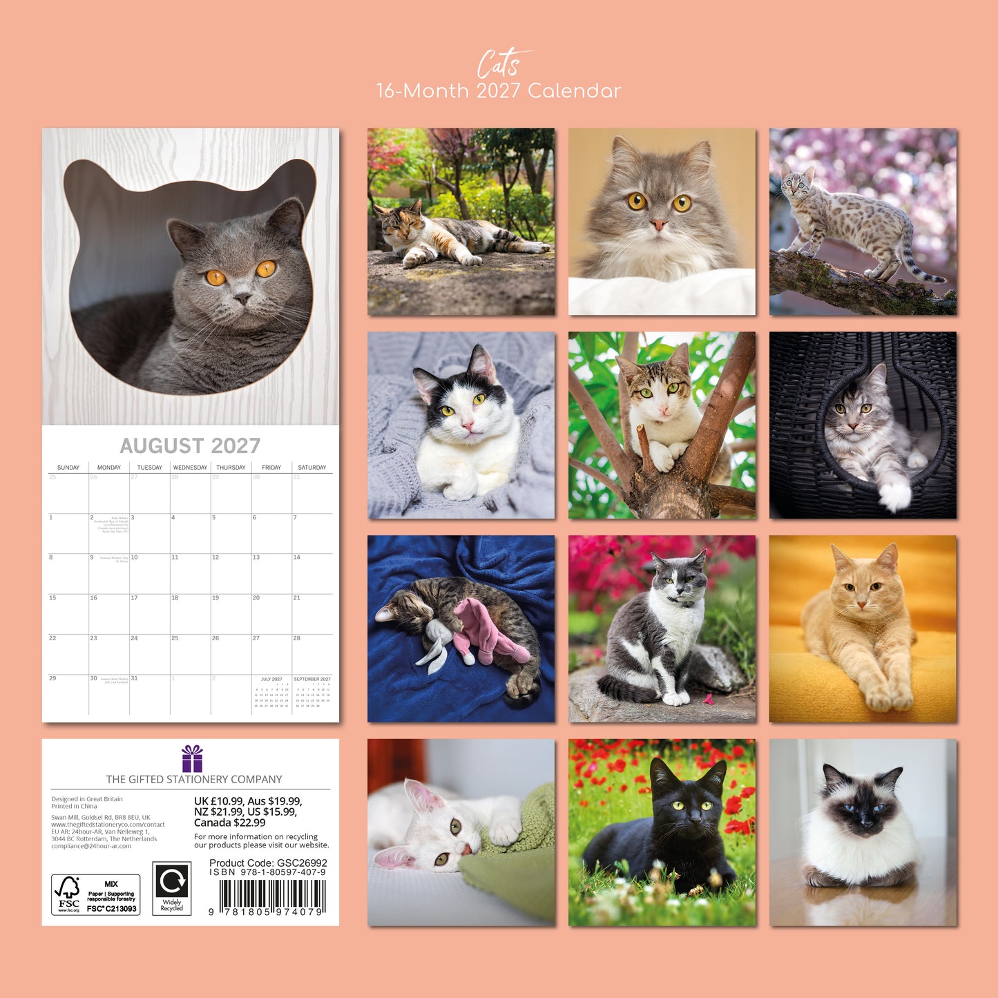 Cats 2027 Square Calendar
